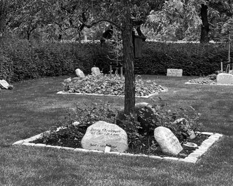 Et bed med 4 gravsten placeret rundt om et træ