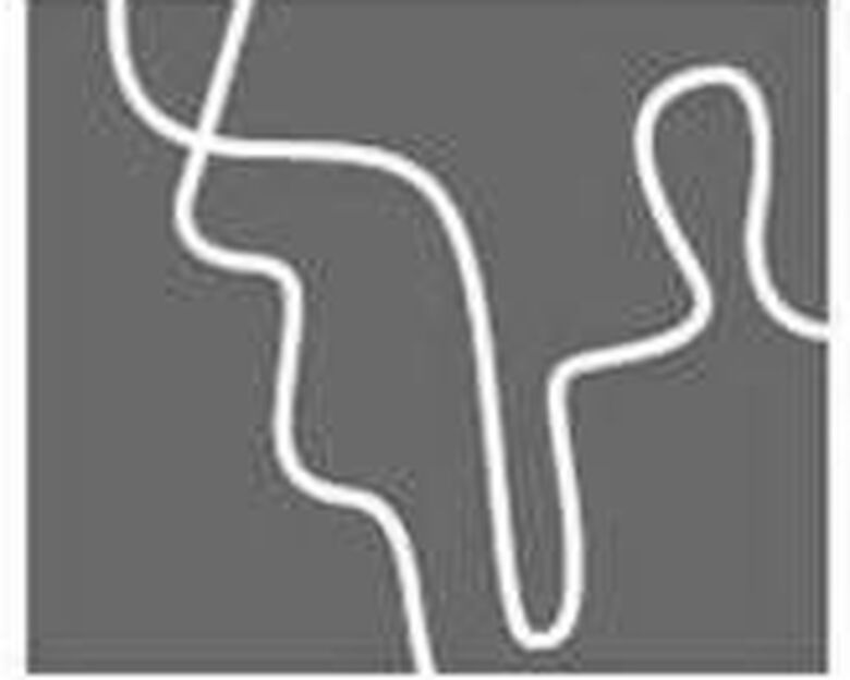 Holstebro biblioteks logo