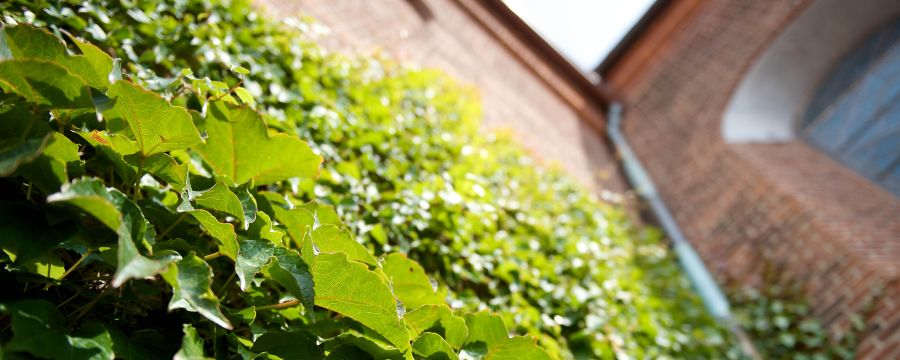 holstebro kirke med egeføj